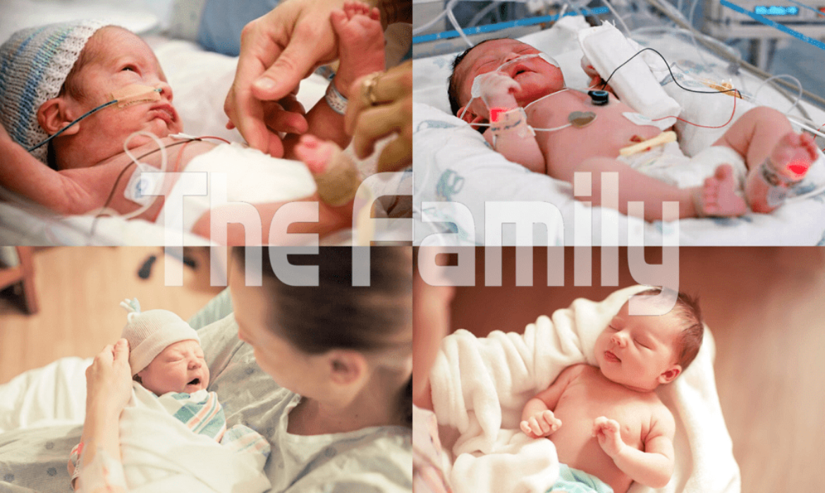 Chăm s&oacute;c mẹ sau sinh Từ Dũ